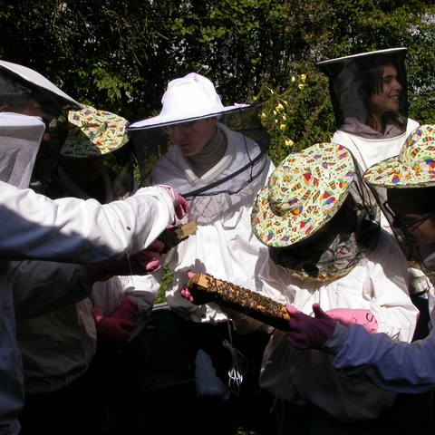 DSCN1316. Vergrösserte Ansicht