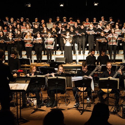 2018 MuProjekt Canto General 16. Vergrösserte Ansicht