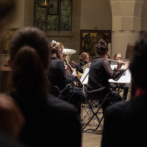 vlv10. Vergrösserte Ansicht