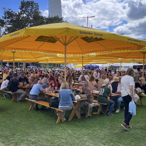 Schwingfest2Bild. Vergrösserte Ansicht