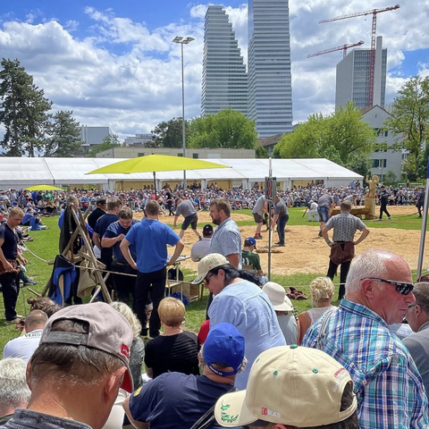 Schwingfest3Bild. Vergrösserte Ansicht